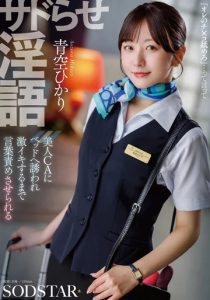 START-660 [Uncen] แอร์โฮสเตสสาวสวยชวนขึ้นเตียง Hikari Aozora